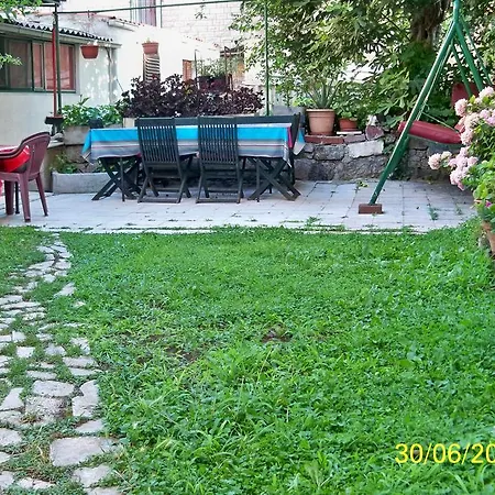 Sanja Split